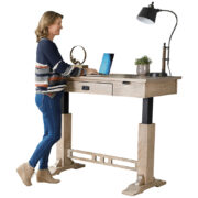 Craftsman Electric Sit To Stand Writer's Desk